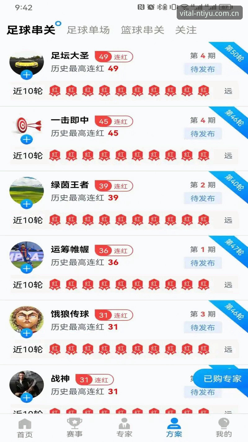 n体育平台实用指南：从官方渠道获取最新版本与赛事资讯的必备知识