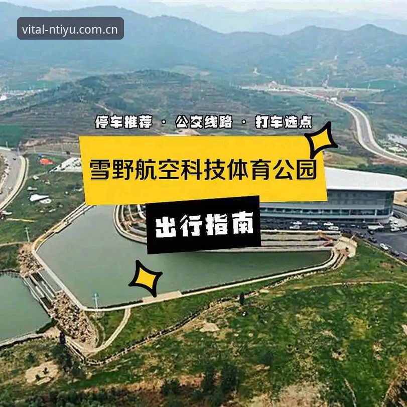 n体育官方渠道安装教程详解：从下载到使用的完整指南